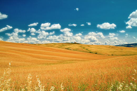759974 (a): :1920x1280